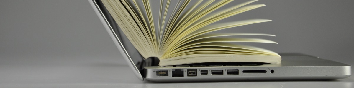 E-books downloaden Maarten van den Heuvel @mvdheuvel